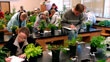 Plant Biology: Diverse opportunities for study