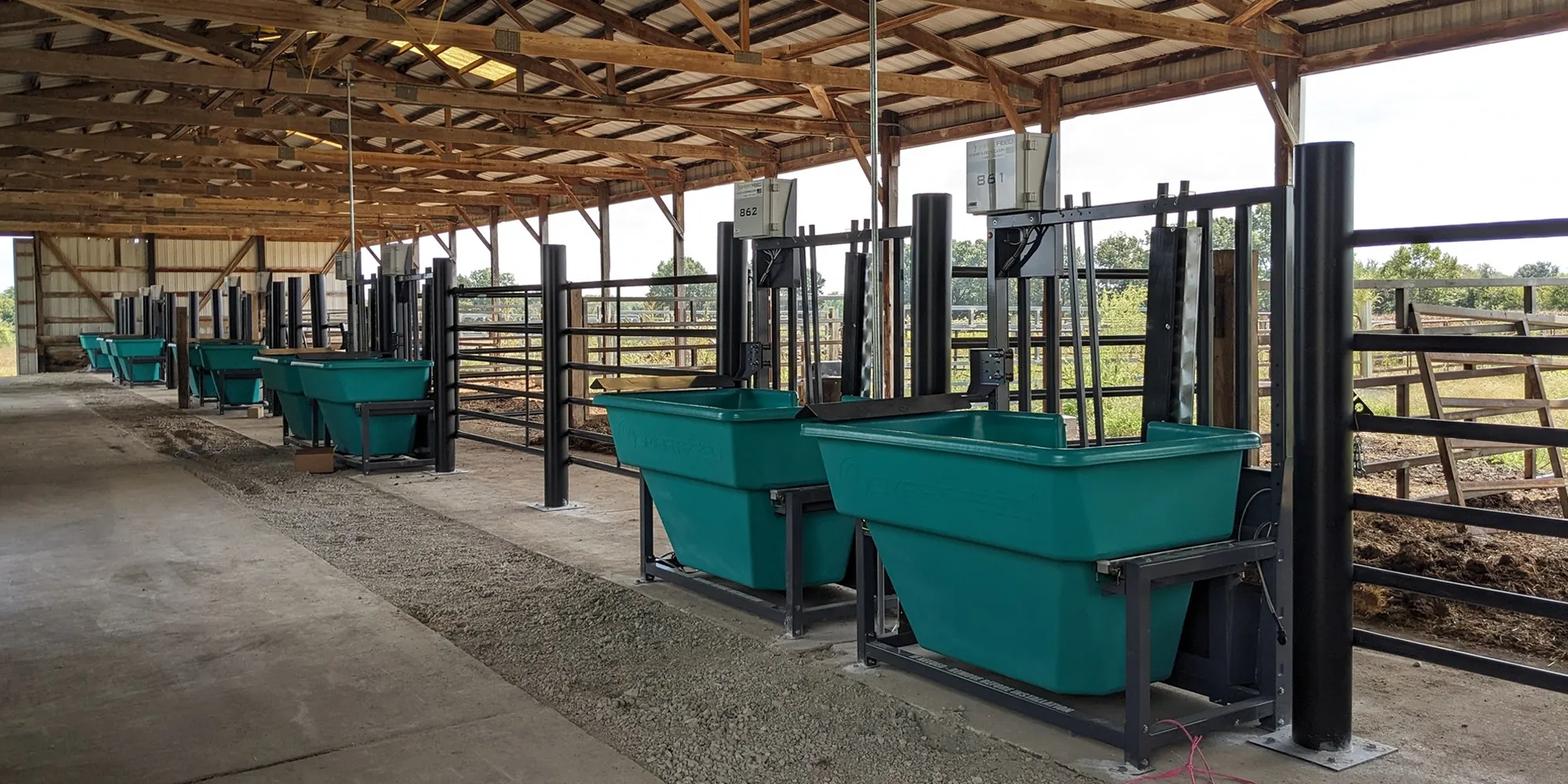 Bull Test Smart Feed
